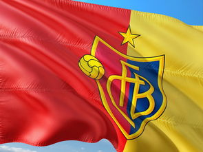 开云APP-巴黎逆转瑞士，弗拉霍维奇统治全场