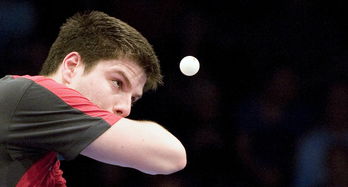 开云体育官方网站-韩国乒乓球队轻取比利时乒乓球队，樊振东送出助攻：一场精彩绝伦的跨国对决